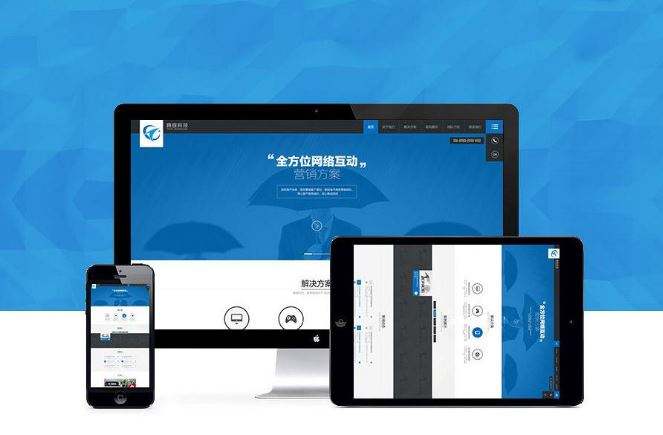 网站程序
